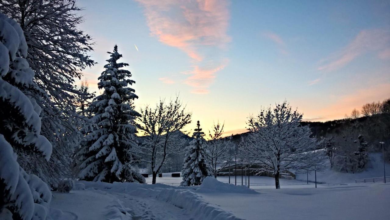 Guesthouse Bor Plitvice Lakes Plitvicka Jezera Ngoại thất bức ảnh